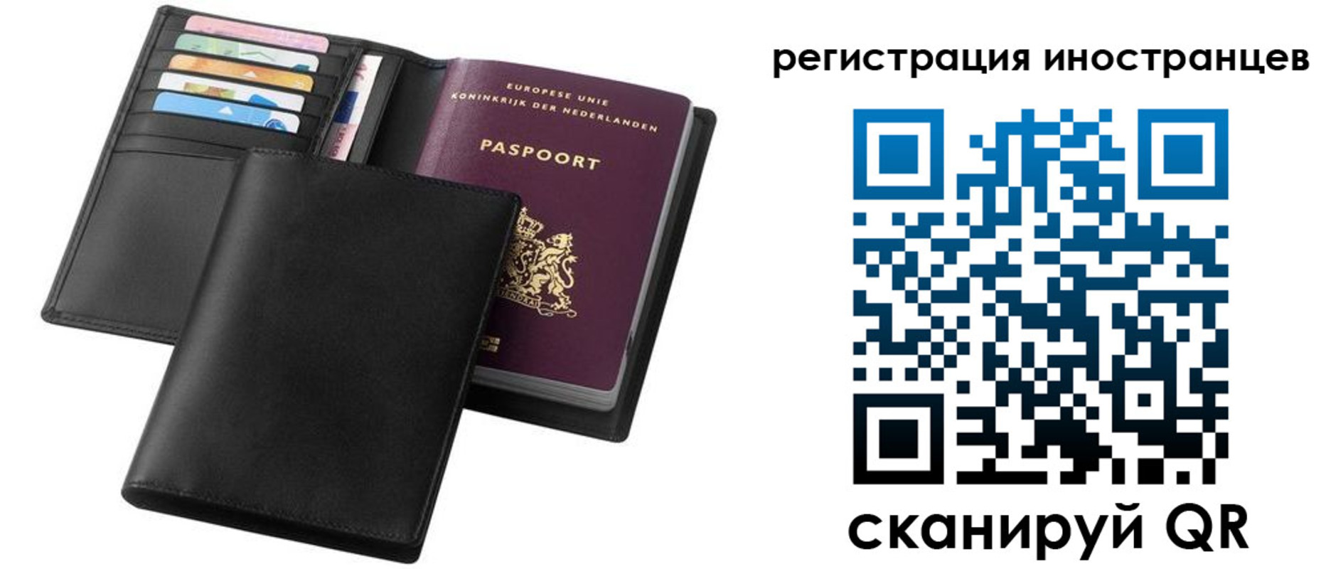 временная регистрация госуслуги в Светлогорске
