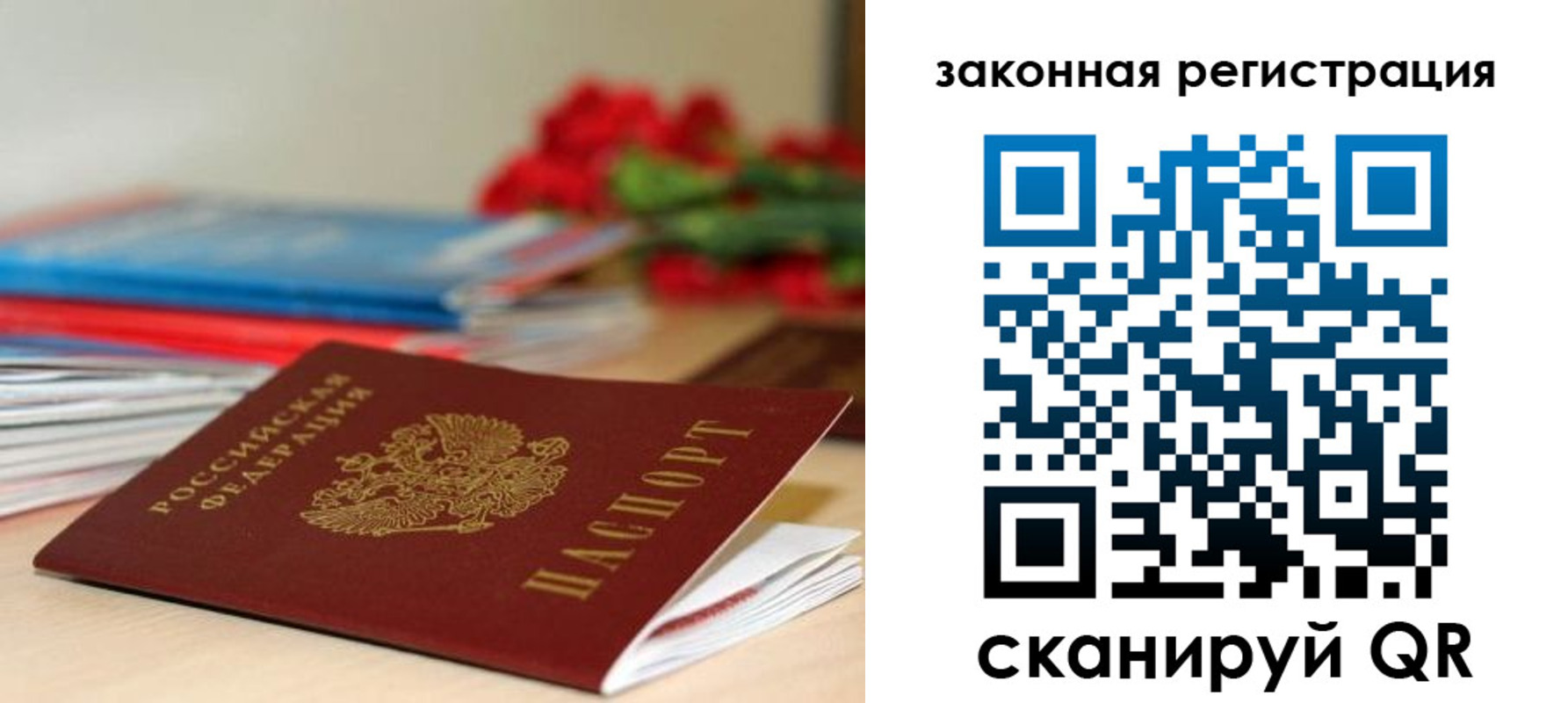 временная регистрация купить в Светлогорске